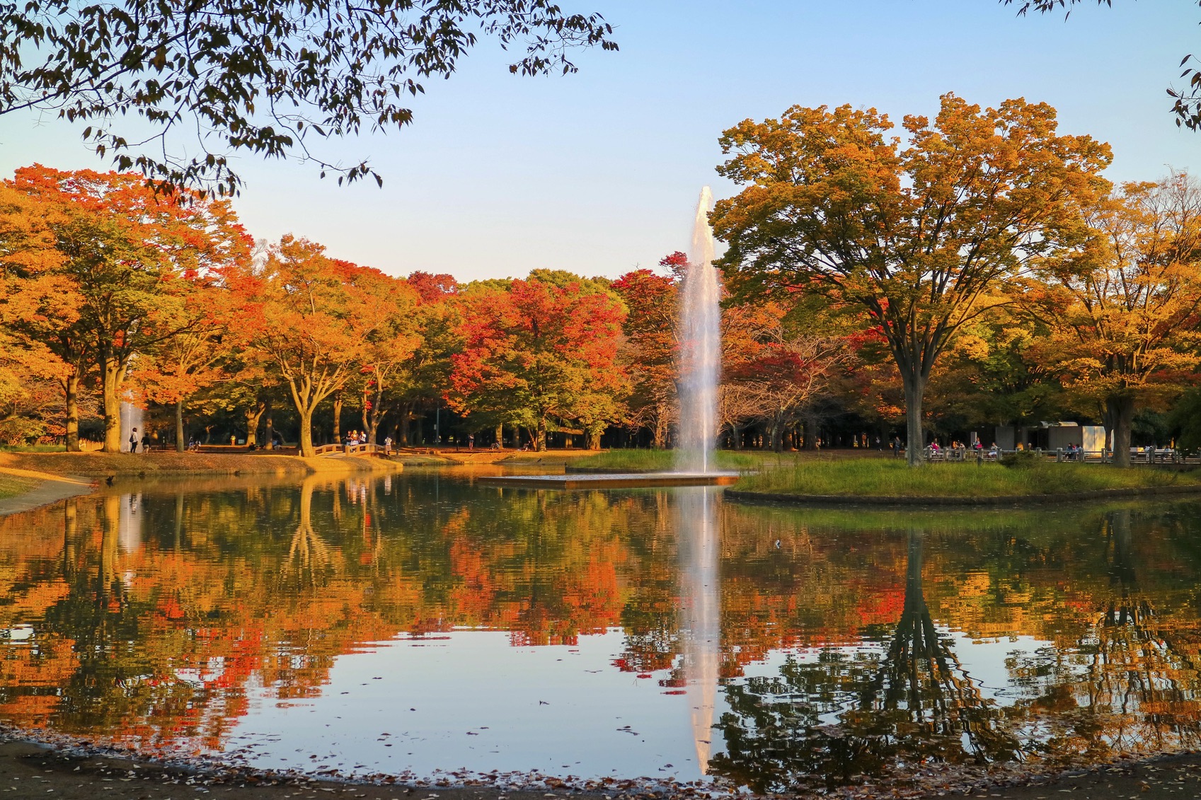 Yoyogi Park