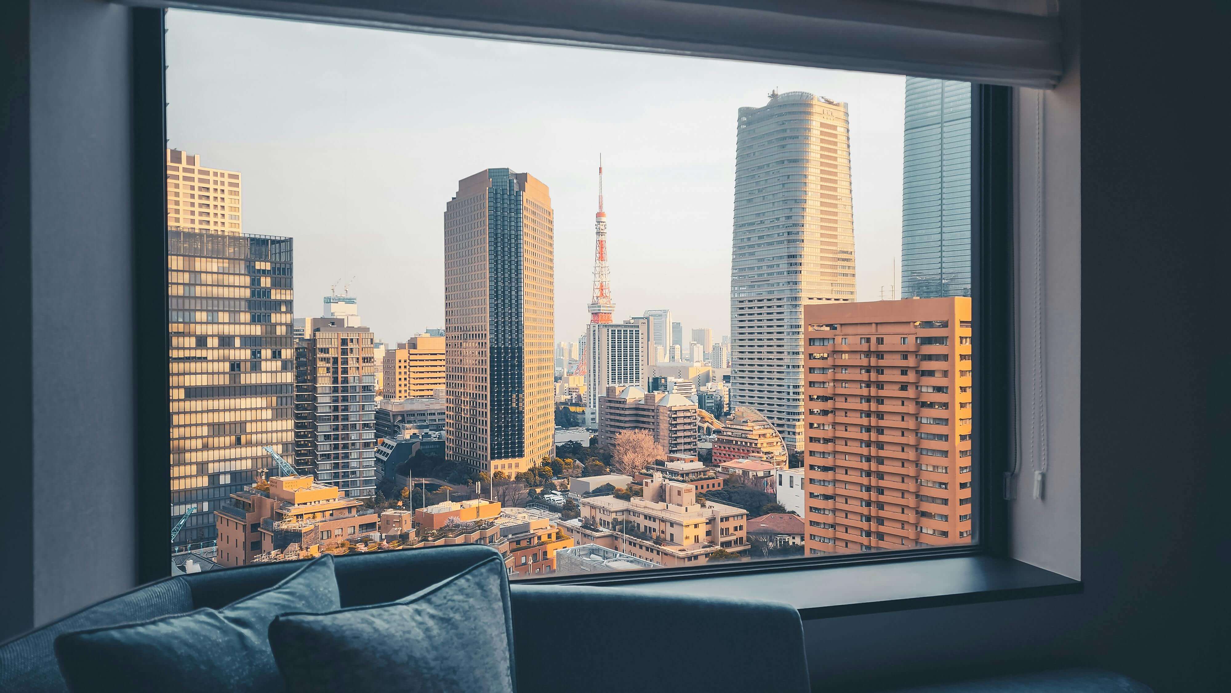 tokyo views.jpg